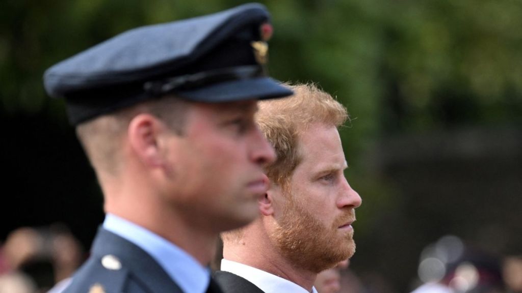 Prince Harry & William’s Potential Reunion Isn’t What Royal Fans Want — Poll