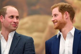 Prince Harry's Public Peace Plea Could Backfire With Prince William — Author