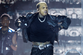 Chris Brown receives a suspended jail sentence over a 2023 London nightclub attack after pleading guilty to affray