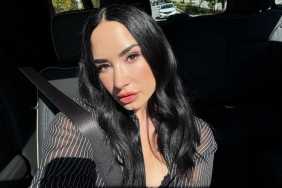 Demi Lovato Shares Health Update Following IV Drip Photo