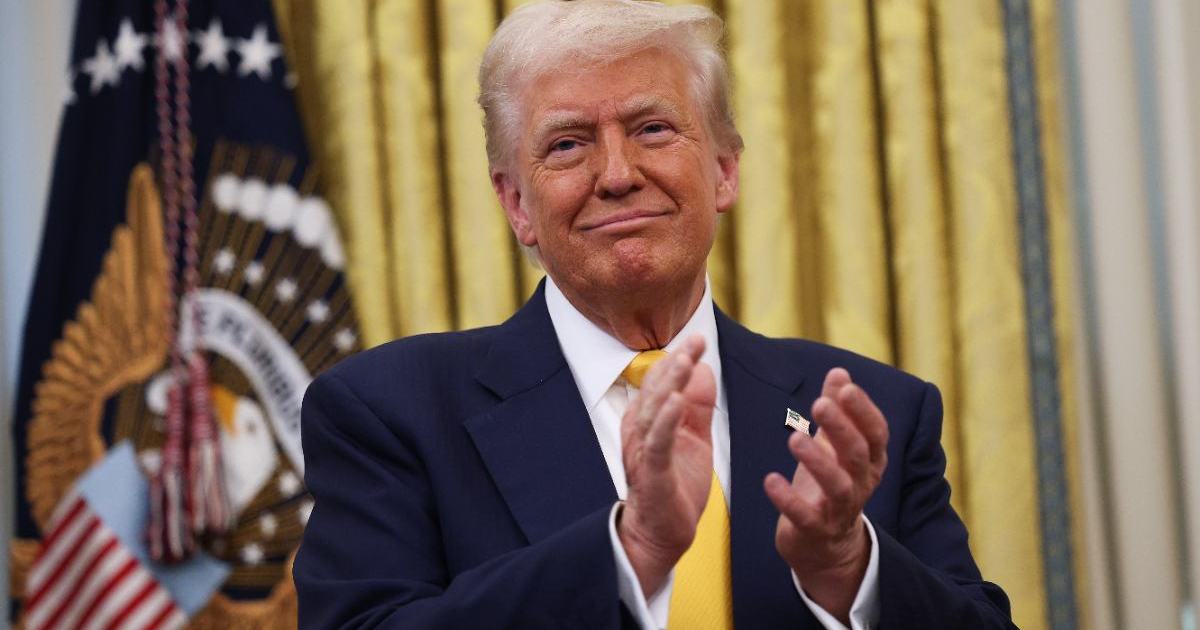 Donald Trump Has Brutal 4-Word Reaction to Protester Getting Punched During Rally