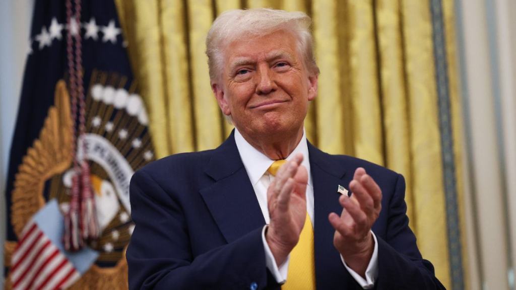 Donald Trump Has Brutal 4-Word Reaction to Protester Getting Punched During Rally