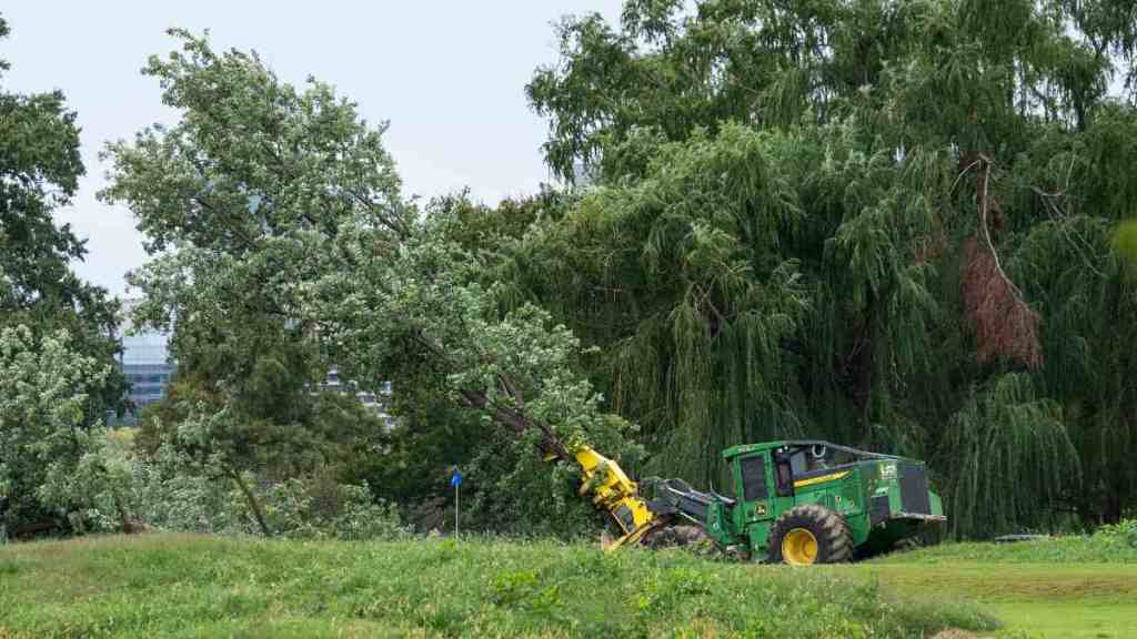 Donald Trump’s DC Golf Course Plans Face New Court Scrutiny Over Trees