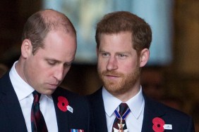 Prince Harry's 'Irreparable Damage' Seals Prince William Relationship — Poll