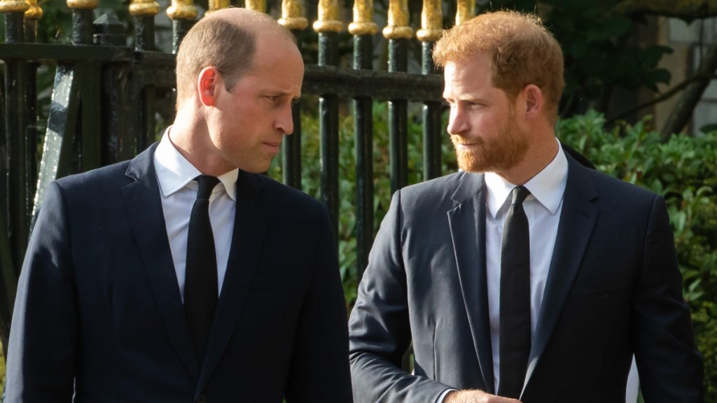 Prince Harry's Hope for William Reconciliation Meets a Harsh Reality