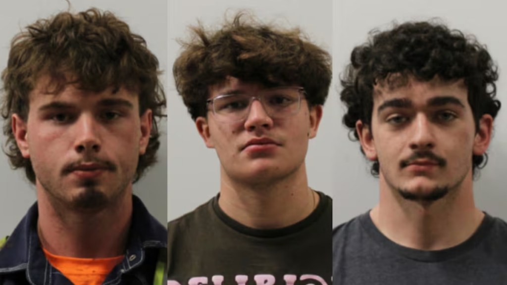 Four Teens Teenagers Throw Pineapple Tesla Model Y Ohio Windshield Damage