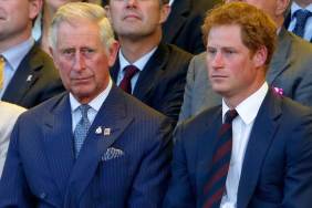 King Charles Solidified Prince Harry’s ‘Non-Working Spare’ Status — Expert