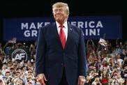 Donald Trump Says Solar Panels Fry Animals at Texas Rally, Drawing Criticism