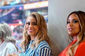 Robyn Dixon returns to The Real Housewives of Potomac Season 11 as BravBros hosts praise her calmer approach