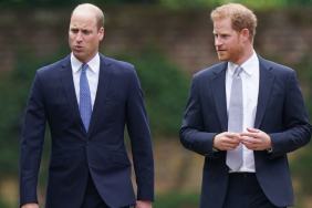 'Naughty' Prince Harry & 'Shy' Prince William's Rift Gets Grim New Outlook — Expert