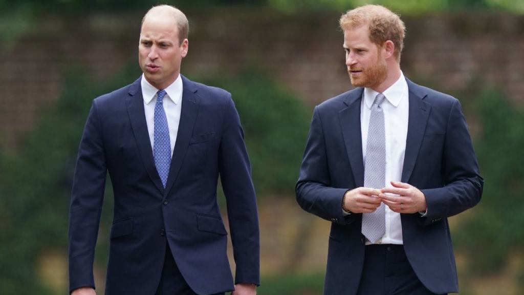 'Naughty' Prince Harry & 'Shy' Prince William's Rift Gets Grim New Outlook — Expert