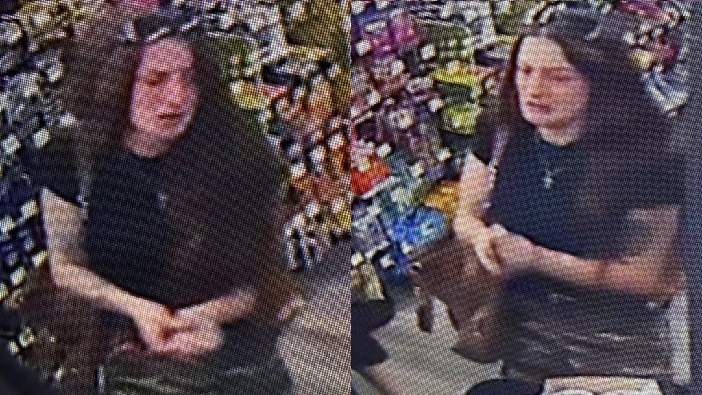 Woman Caught Stealing Dollar General Cry Plea Cops Pennsylvania Cydnee Noelle Dingman