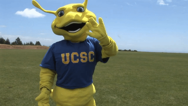 Banana Slug (UC Santa Cruz)