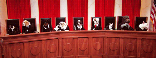 9 SUPREME COURT JUSTICES