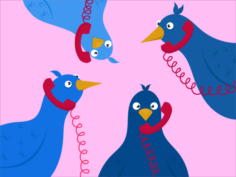 Four calling birds.