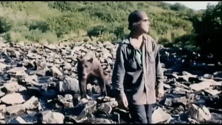 8. 'Grizzly Man' (2005)