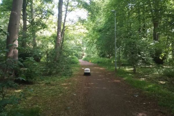 Rogue Delivery Robot Found in Woods, Can a Horny Machine Get Some Privacy?