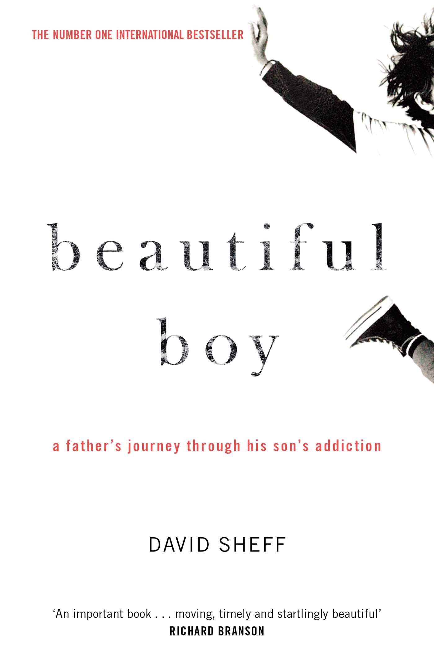 'Beautiful Boy' by David Sheff
