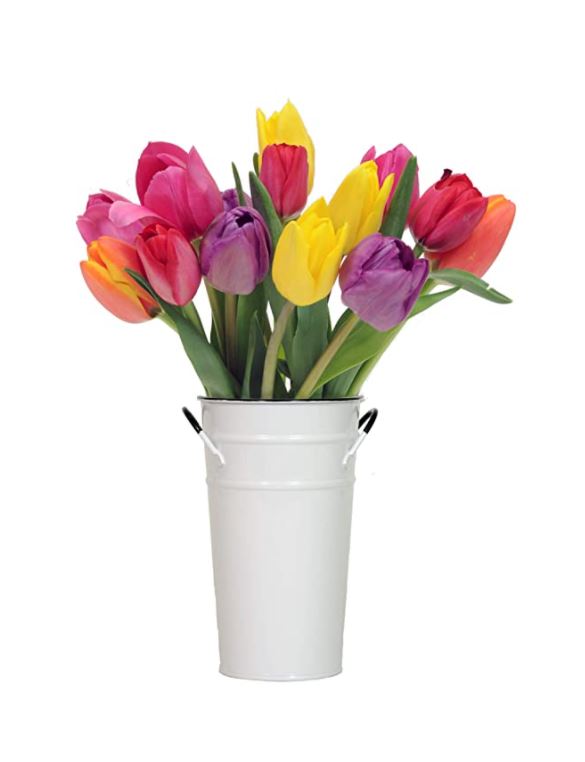 Stargazer Barn Confetti Bouquet With Stems of Colorful Tulips 