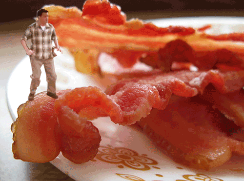Bacon Gifs #8