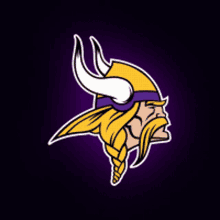 2. Minnesota Vikings