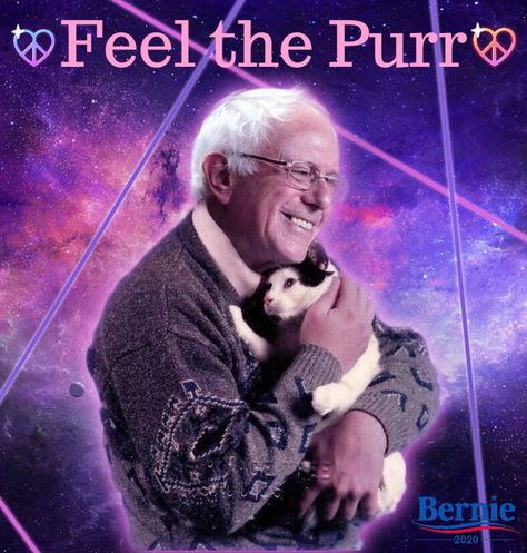 Bernie Memes #4