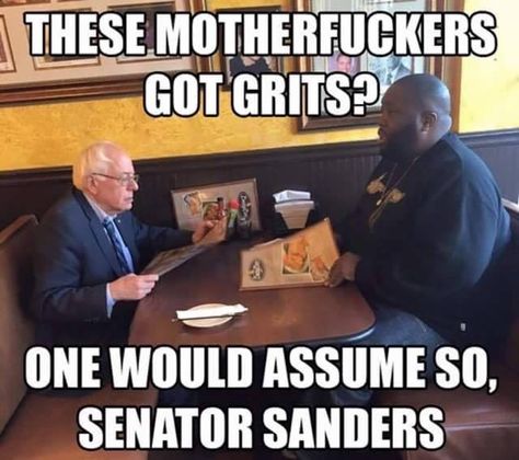 Bernie Memes #11