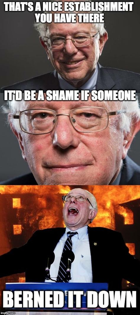 Bernie Memes #14