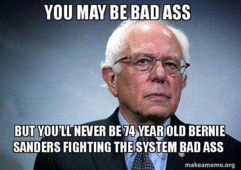 Bernie Memes #15
