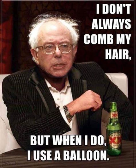 Bernie Memes #20