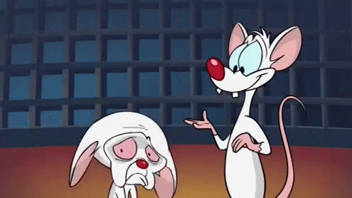 'Pinky and the Brain' (1995-1998)