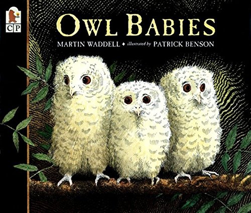 6. 'Owl Babies'