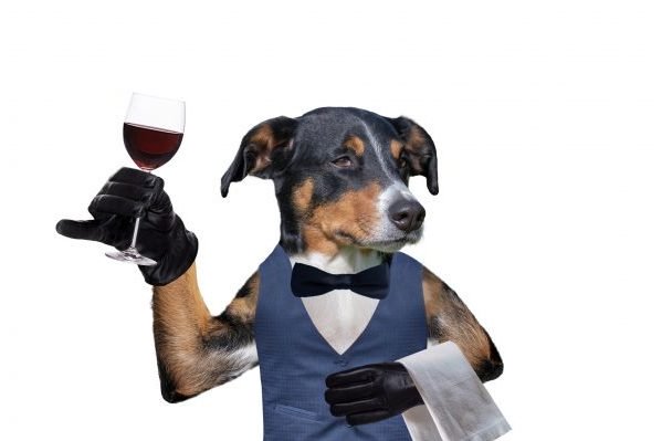 Heroic Dog Delivers Curbside Wine During Coronavirus Lockdown