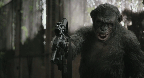 1. 'Dawn of the Planet of the Apes'