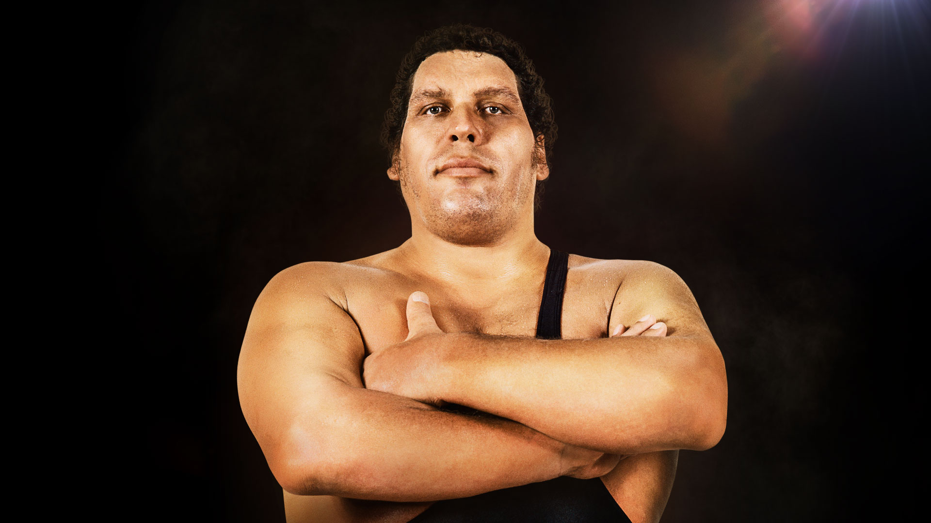 'Andre The Giant'