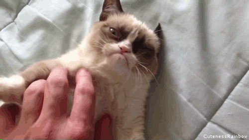 The Death of Grumpy Cat