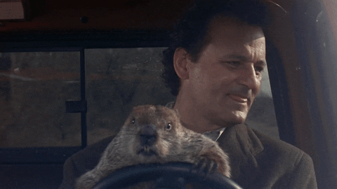 Stealing the groundhog in 'Groundhog Day.'