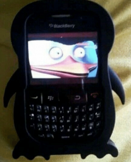 Blackberry Memes #9