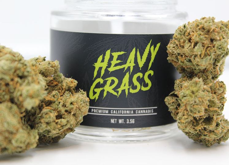 Heavy Grass
