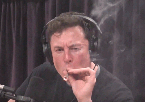 Elon Musk Takes Time For His Weed Plants