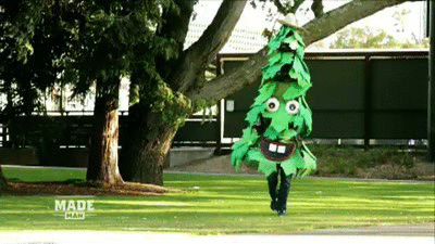 The Stanford Tree