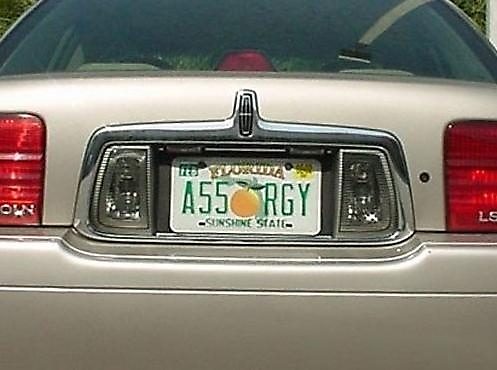 Cleverly Filthy License Plates #8