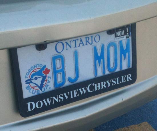 Cleverly Filthy License Plates #9