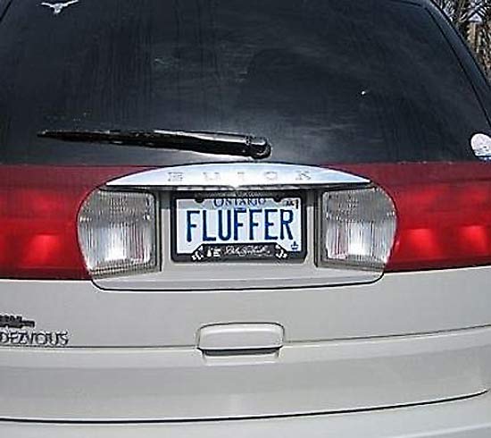 Cleverly Filthy License Plates #15