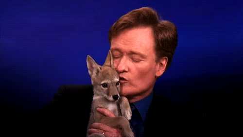 When Conan cuddled with a coyote pup.