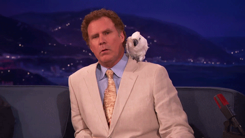 When Will Ferrell brought a bird onstage.