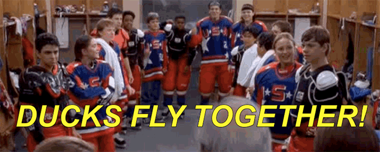 D2 The Mighty Ducks 25th  #1