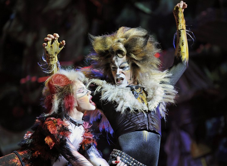 Scientists Developing Human Organs in Animals, ‘Cats’ Musical Slowly Becoming a Reality