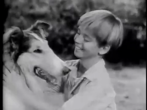 'Lassie' (or 'Benji')