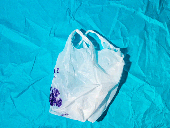 Skip the Plastic Bag